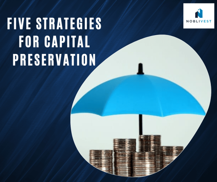 Five Strategies for Capital Preservation – Noblivest Blog